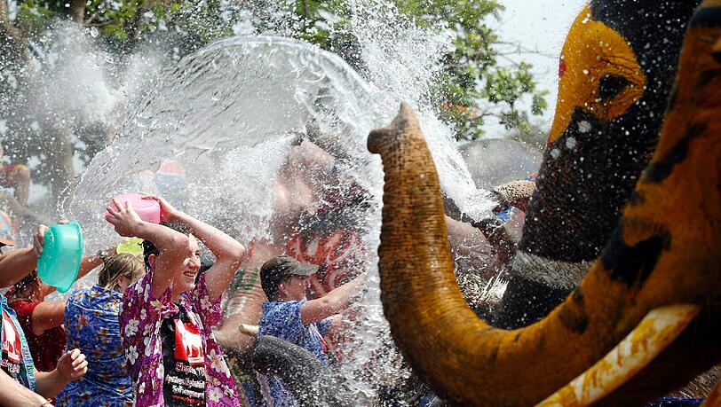 In Thailand steht Songkran bevor, das traditionelle Neujahrsfest: Schon jetzt bespritzen sich Menschen im ganzen Land mit Wasser - doch viel besser können das natürlich die Elefanten. In Thailand steht Songkran bevor, das traditionelle Neujahrsfest: Schon jetzt bespritzen sich Menschen im ganzen Land mit Wasser - doch viel besser können das natürlich die Elefanten.