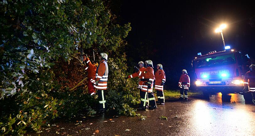 Feuerwehreinsatz in Freiburg: Ein umgestürzter Baum muss weg!