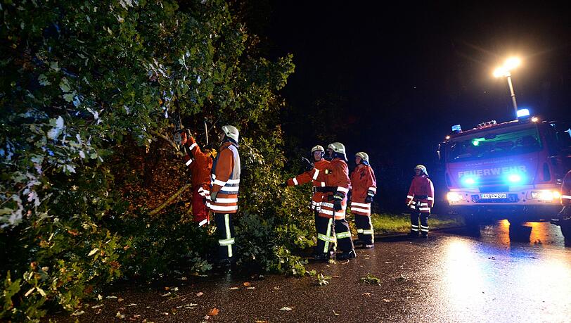 Feuerwehreinsatz in Freiburg: Ein umgestürzter Baum muss weg! Feuerwehreinsatz in Freiburg: Ein umgestürzter Baum muss weg!
