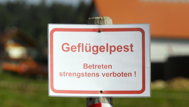 Ein Schild mit der Aufschrift "Geflügelpest - Betreten strengstens verboten!" steht auf einem Hof.