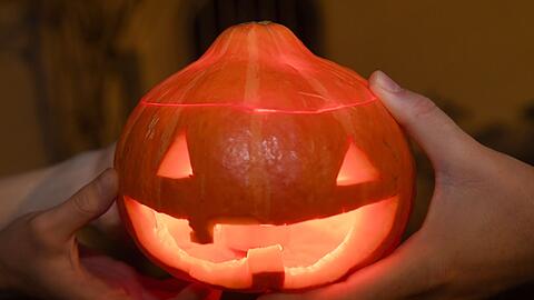 Eine Spinnenattrappe hat in München kurz vor Halloween für Aufregung gesorgt. (Symbolbild)