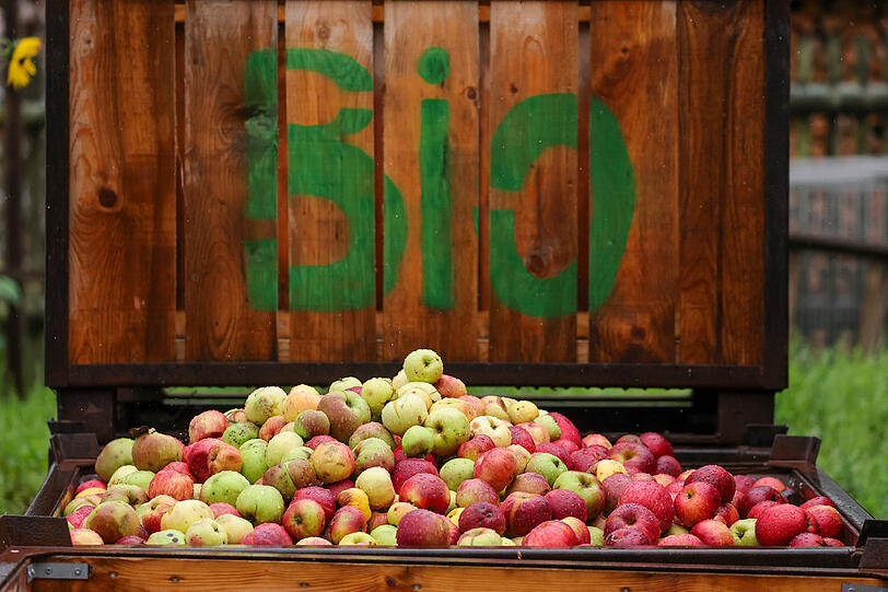 Werden Bio-Produkte wie diese Äpfel künftig günstiger? Werden Bio-Produkte wie diese Äpfel künftig günstiger?