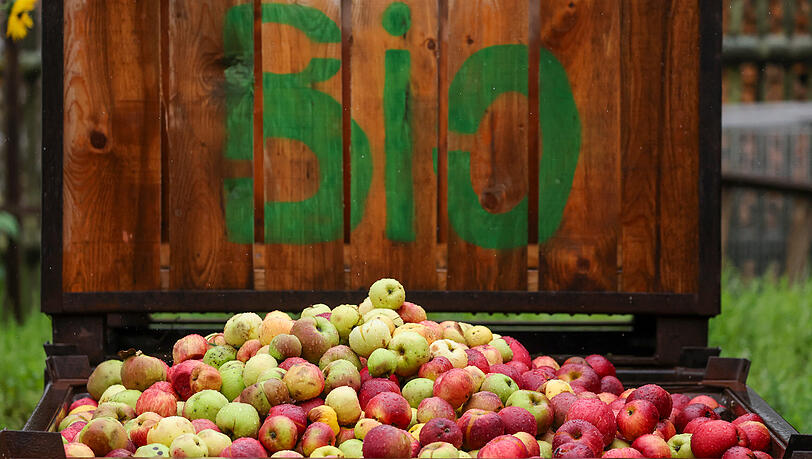Werden Bio-Produkte wie diese &Auml;pfel k&uuml;nftig g&uuml;nstiger?