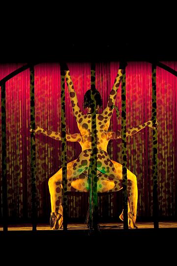 &bdquo;Best Of&ldquo; verschiedener Nummern aus dem Repertoire des Cabarets: Die aktuelle Show "Crazy Horse Cabaret"