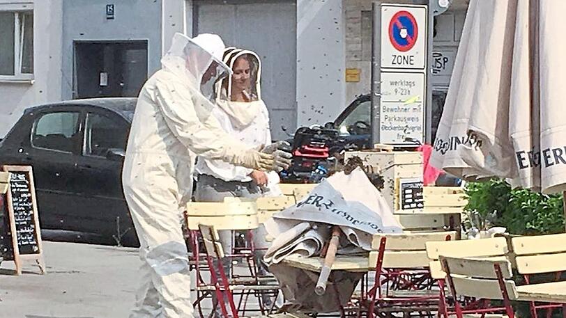 Bsss: Die Feuerwehr sammelt die Bienen ein.