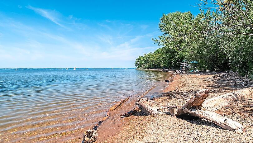 Geht es nach dem Willen einer Behörde, dann sollen zahlreiche Uferbereiche am Chiemsee Tieren vorbehalten bleiben.