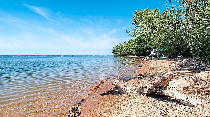 Geht es nach dem Willen einer Behörde, dann sollen zahlreiche Uferbereiche am Chiemsee Tieren vorbehalten bleiben.