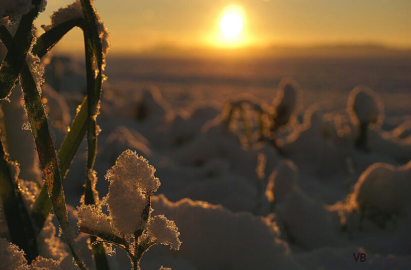 Ein Bild vom 9. November in Taufkirchen.