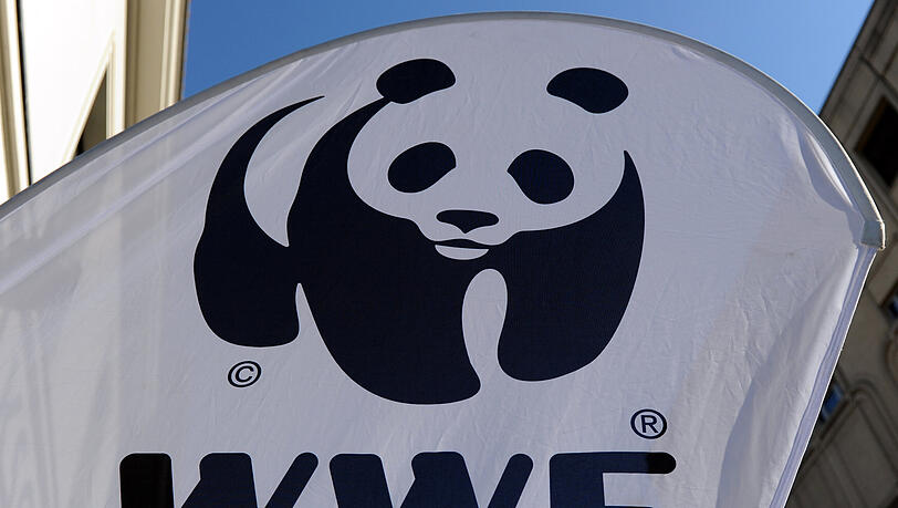 Der WWF gehört zu den großen Umweltorganisationen weltweit.