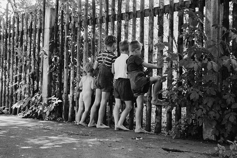Zaungäste: Die vier Buben luren in ein Münchner Freibad.