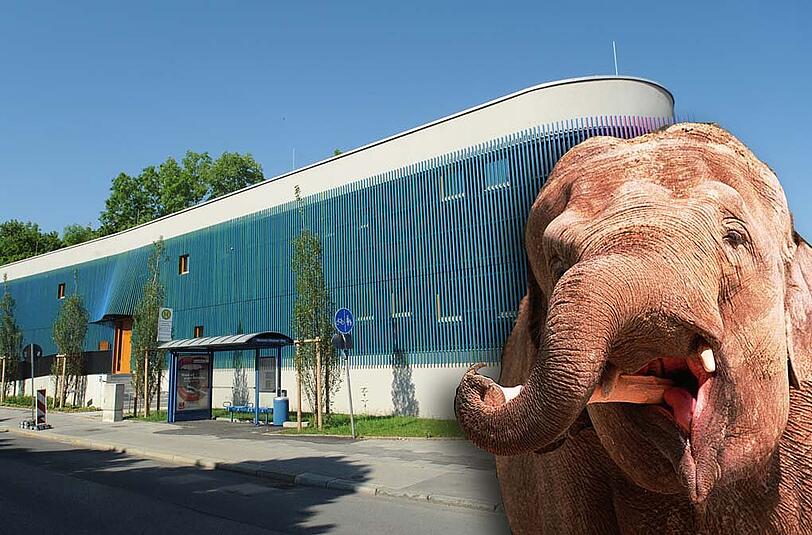 Futuristisch: Die Kita in der Friedrich-Eckart-Straße wird bald 24 Krippen-, 50 Kindergarten- und 25 Hort-Kinder aufnehmen. Für eine Foto-Session will man einen Elefanten durchs ganze Land hier her bringen.