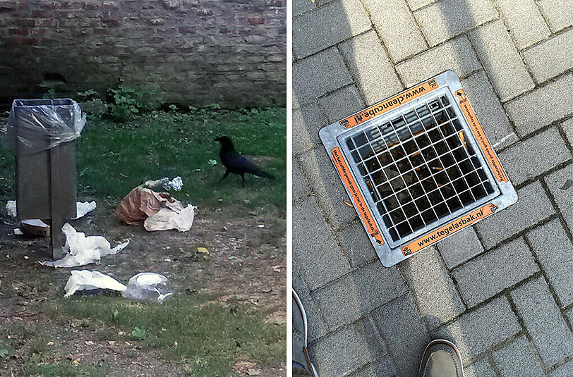 Links: Ein Müll umherschleudernder Rabe am Alten Südfriedhof. Rechts: Ein im Boden versenkter Aschenbecher in Nürnberg.