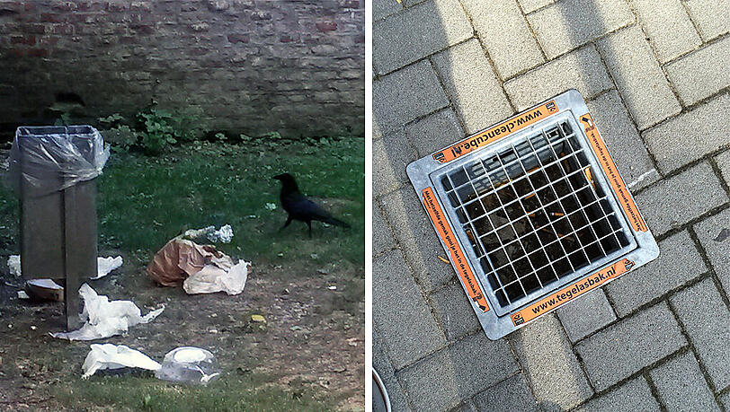 Links: Ein Müll umherschleudernder Rabe am Alten Südfriedhof. Rechts: Ein im Boden versenkter Aschenbecher in Nürnberg. Links: Ein Müll umherschleudernder Rabe am Alten Südfriedhof. Rechts: Ein im Boden versenkter Aschenbecher in Nürnberg.