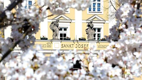 Das ehrwürdige St.-Josef-Stift am Luise-Kiesselbach-Platz durch üppige Kirschblüten gesehen.