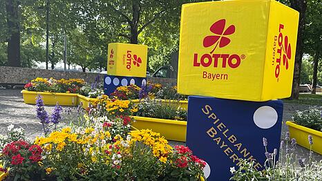 So sehen sie aus, die Blumenk&auml;sten des Gewinnspiels der Staatlichen Lotterie- und Spielbankverwaltung. Je einen dieser K&auml;sten kann man gewinnen und dabei gleichzeitig Gutes f&uuml;r Bienen und die Umwelt tun.