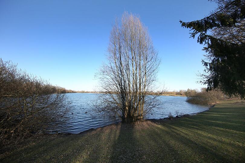 See, Sonne, Baum, Schatten, blauer Himmel - diese Bildkomposition am Fasaneriesee wird durch nichts gestört. Mehr Bilder hier zum Durchklicken.