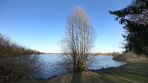 See, Sonne, Baum, Schatten, blauer Himmel - diese Bildkomposition am Fasaneriesee wird durch nichts gestört. Mehr Bilder hier zum Durchklicken.