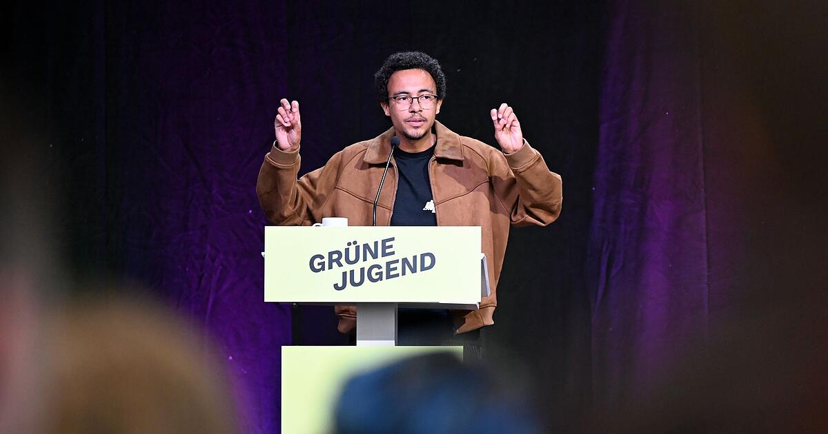 Gr-ne-Jugend-Chef-erkl-rt-sein-Hurensohn-Video-gegen-S-der