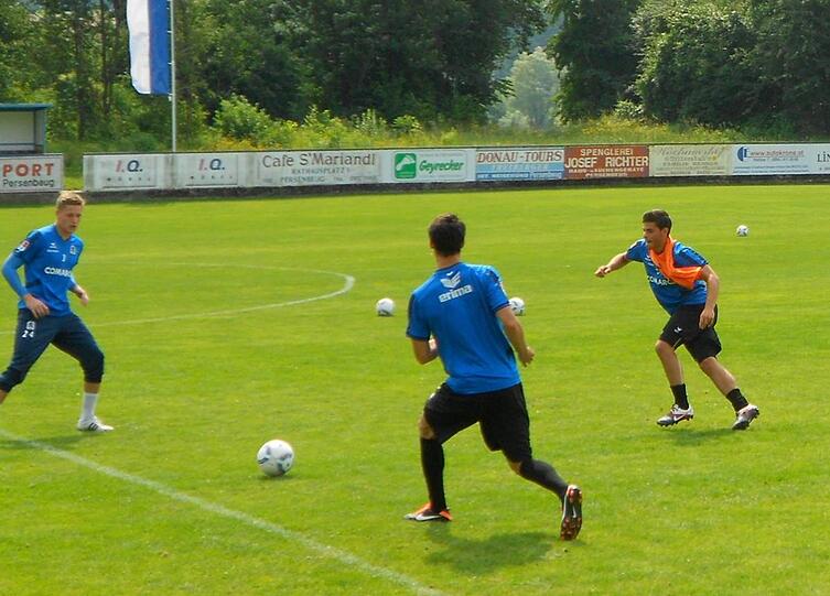 Neue Bilder aus dem Trainingslager: Die Löwen schwitzen in Gottsdorf an der Donau. Die Bilder