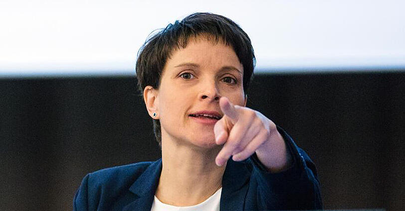 Wie geht es weiter mit Petry und der AfD?