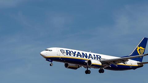 Ein Flugzeug der irischen Fluggesellschaft Ryanair im Landeanflug auf den Flughafen Frankfurt.