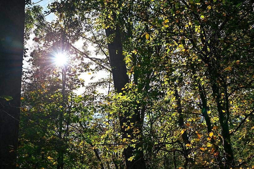 Auch das Spiel aus Licht und Schatten ist immer wieder schön.