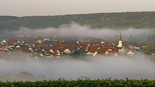 Die Weinberge der Lage "Escherndorfer Lump" über dem malerischen Winzerdorf am Main. Die Weinberge der Lage "Escherndorfer Lump" über dem malerischen Winzerdorf am Main.