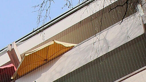 Der Balkon mit dem gelben Schirm: Hier ist das Mädchen abgestürzt... Der Balkon mit dem gelben Schirm: Hier ist das Mädchen abgestürzt...