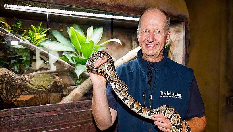 Kurator Frank Müller mit Königspython. Kurator Frank Müller mit Königspython.