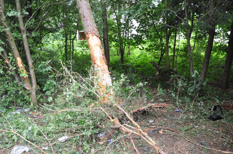 Der Wagen zerschellte an einem Baum - der Fahrer starb an der Unfallstelle.