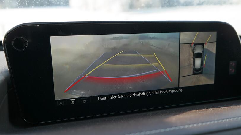 Der 360-Grad-Blick ist beim Rangieren praktisch - und wie man sieht verschmutzt die Kamera dafür leicht.