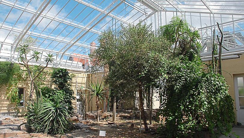 Die Halle C des Afrika-und Madagaskarhauses. Die Halle C des Afrika-und Madagaskarhauses.