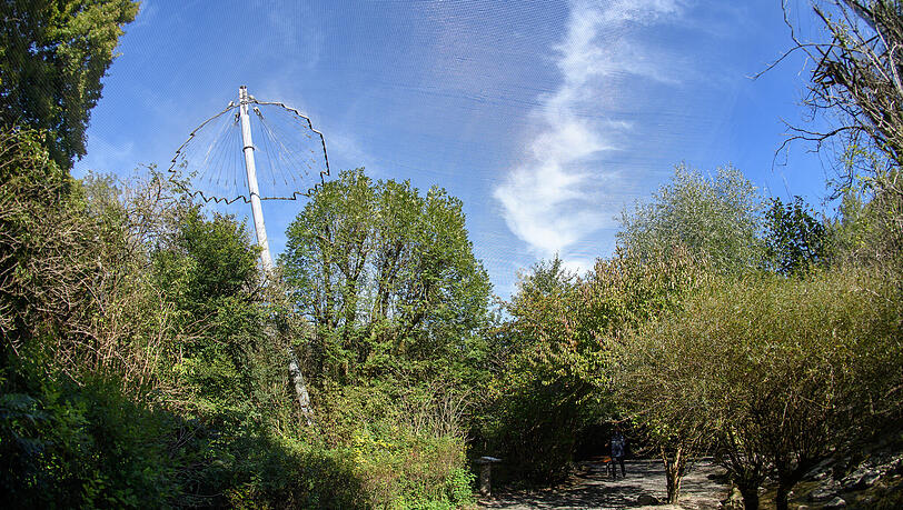 Die Großvoliere im Tierpark Hellabrunn wird vorsorglich geschlossen. (Archivbild) Die Großvoliere im Tierpark Hellabrunn wird vorsorglich geschlossen. (Archivbild)