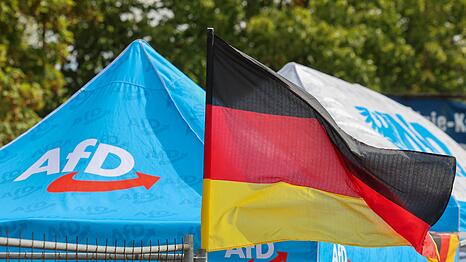 Die AfD liegt in den Umfragen vor der Wahl in Sachsen-Anhalt klar vorn. (Archivbild)