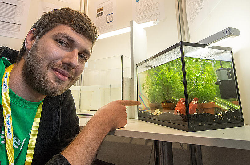 Der Sieger im Fachgebiet Biologie: Thomas Lindner (20 Jahre), vom Willibald-Gluck-Gymnasium in Neumarkt, präsentiert den Nachahmungseffekt bei Fischen (Poecilia wingei)