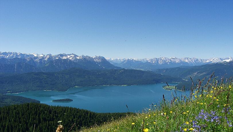 Kräuterwanderung Kräuterwanderung