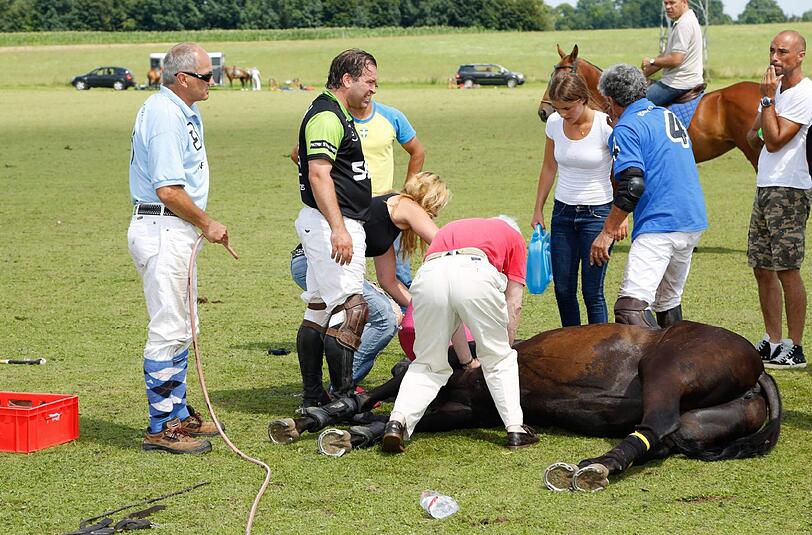 Der Tierarzt kam zu spät. Das wertvolle Pferd musste getötet werden.