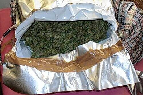 Über 6 Kilo Marihuana hatte ein Drogenkurier dabei.