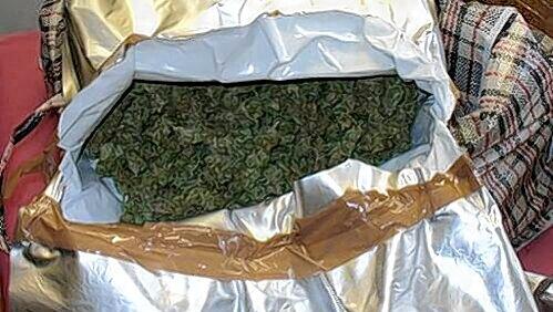 Über 6 Kilo Marihuana hatte ein Drogenkurier dabei. Über 6 Kilo Marihuana hatte ein Drogenkurier dabei.