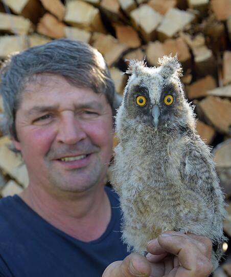 Ein Mann und seine Eule! Markus Roth (l.) will die Waldohreule bald wieder in die Wildnis entlassen.
