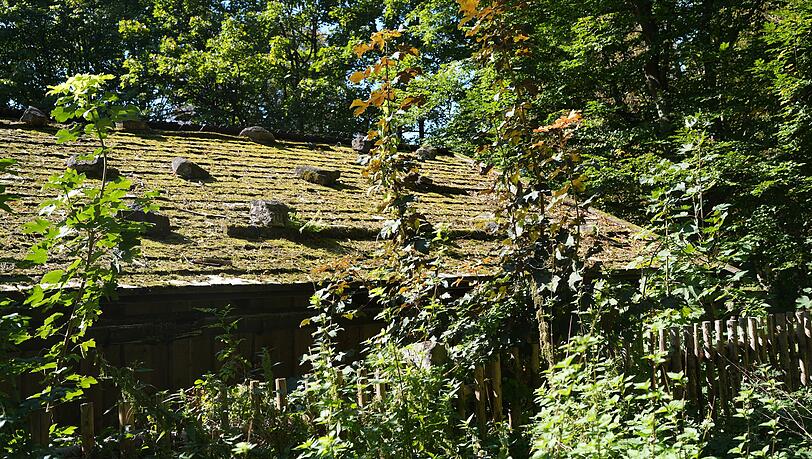 Das Holzschindeldach ist marode. Jetzt wird es neu gedeckt – die Kosten von 50.000 Euro werden über Spenden bezahlt. Das Holzschindeldach ist marode. Jetzt wird es neu gedeckt – die Kosten von 50.000 Euro werden über Spenden bezahlt.