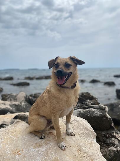 Rio