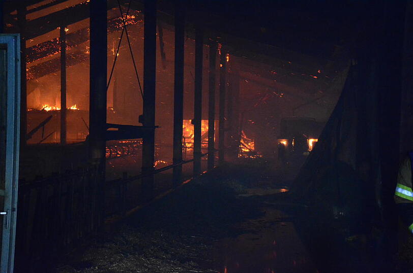 Die Flammen ließen nicht viel übrig - 30 Rinder starben im Feuer. Die Bilder vom Löscheinsatz in Wurmsham.