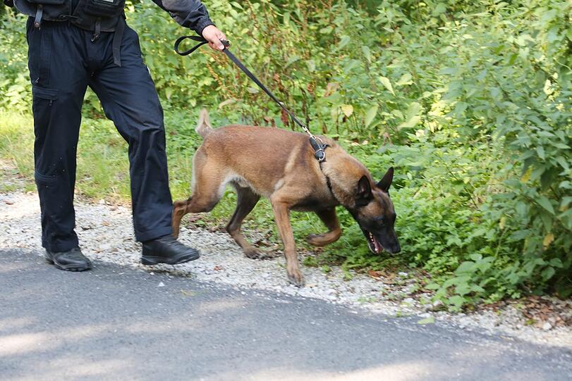 Leichensuchhund "Buzz" mit seinem Hundeführer.