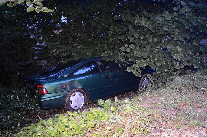 An einem Baum kam das Auto dann zum Stehen.