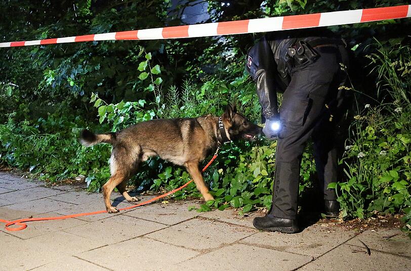 In Kleinhadern half ein Polizeihund bei der Festnahme eines Einbrechers. (Symbolbild)