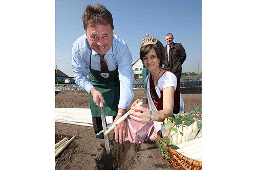 Neues Amt mit neuen Pflichten: Landwirtschaftsminister Helmut Brunner (CSU) bei der Spargelernte.
