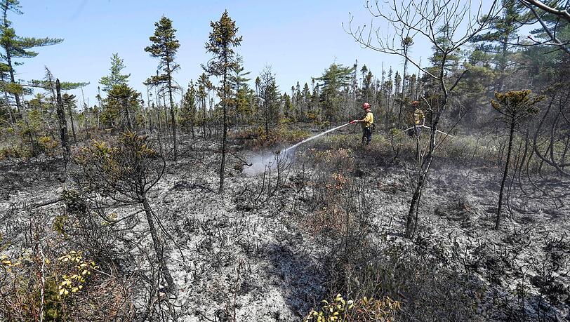 Einsatzkräfte bei Löscharbeiten in einem Waldgebiet in Kanada.