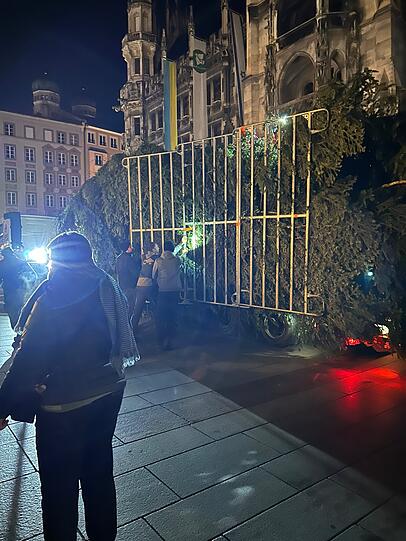 Nach 60 Kilometern Reise kam die Tanne vor dem Neuen Rathaus an.