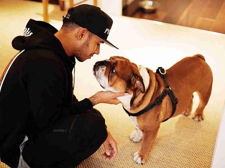 Lewis Hamilton verabschiedet sich von seinem Hund